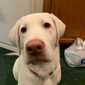 Meet your Posher, Clark